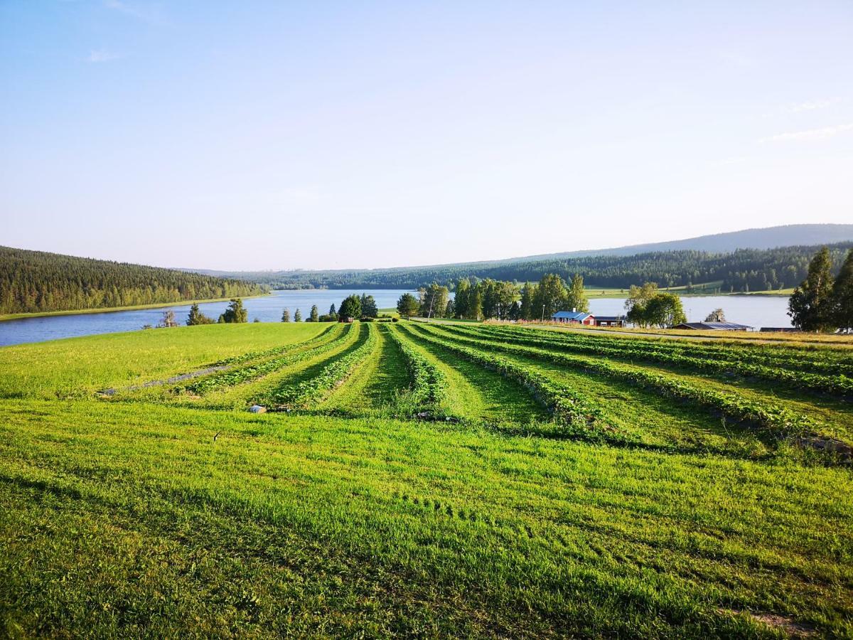 Skatauddens Lantgard Älvsbyn Exterior foto