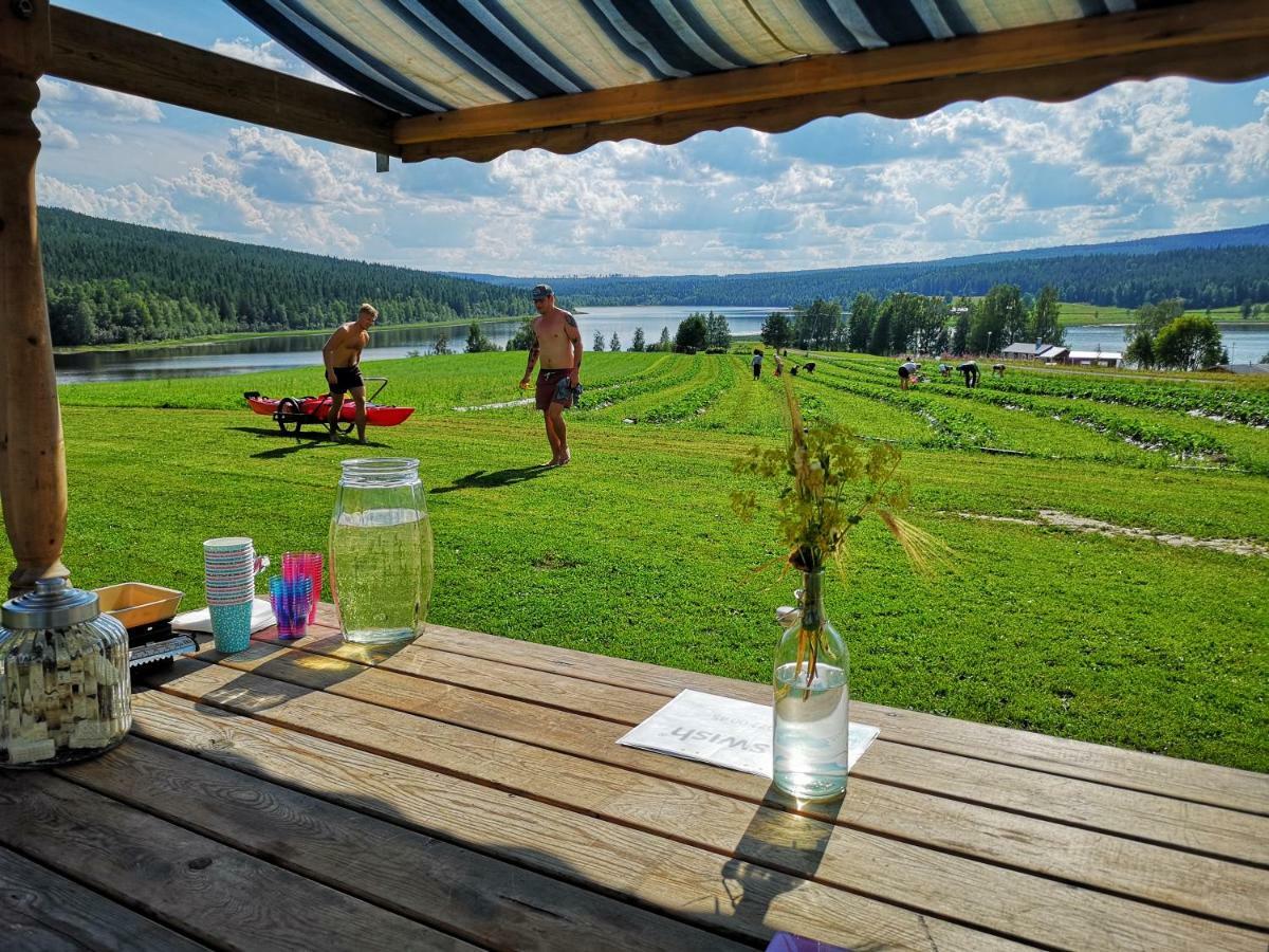 Skatauddens Lantgard Älvsbyn Exterior foto