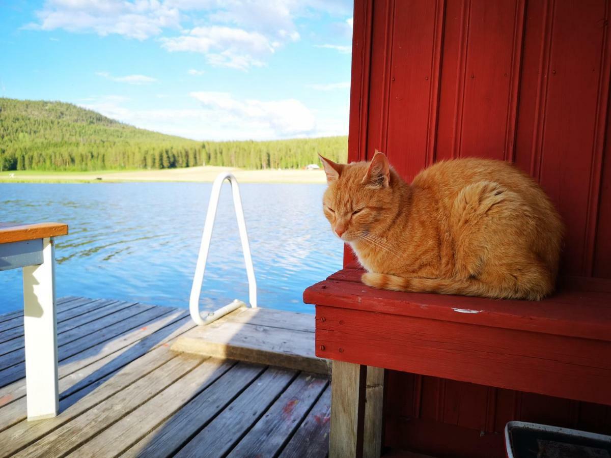Skatauddens Lantgard Älvsbyn Exterior foto